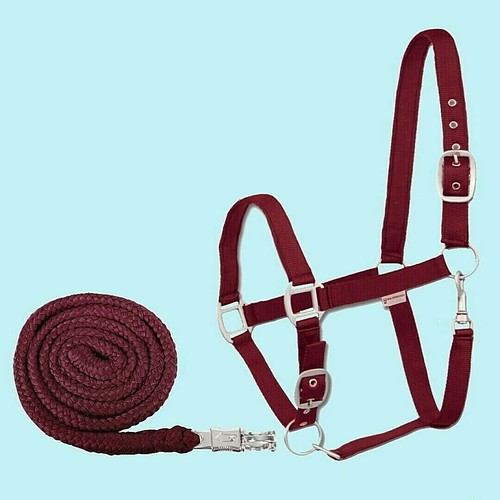 Pferde halfter strick set - pferde,