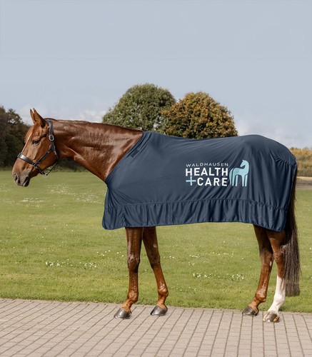 Waldhausen health care - waldhausen,