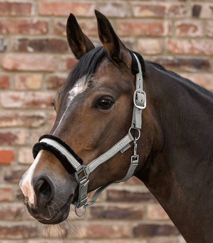 Halfter mit fell elegant - mit,
